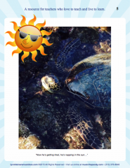 Ted the Turtle - a Sea Adventure